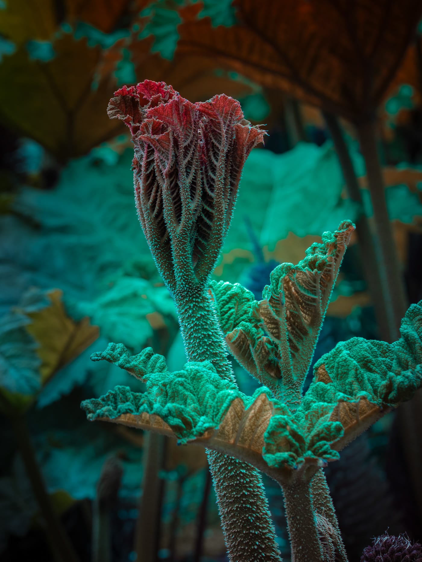 Beguiling Botanicals Fluoresce in Tom Leighton’s Otherworldly Photographs